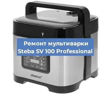 Замена чаши на мультиварке Steba SV 100 Professional в Красноярске